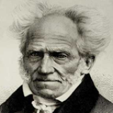 shopengauer